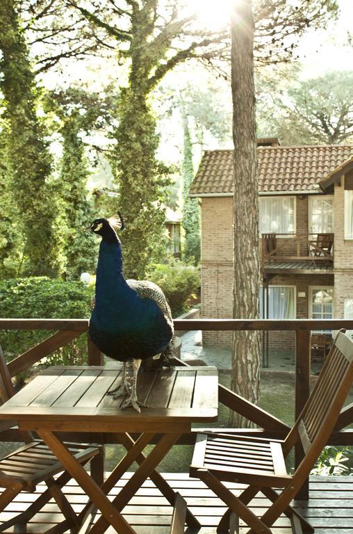 Carilo Village Apart Hotel & Spa Cameră foto